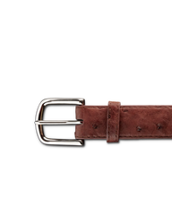 men's ostrich belt