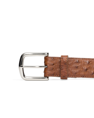 men's ostrich belt