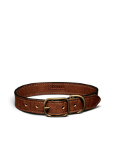 leather dog collar