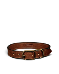 leather dog collar