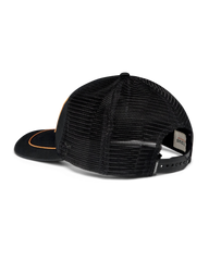 palo duro motors trucker