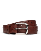 men's ostrich belt