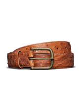 men's ostrich belt