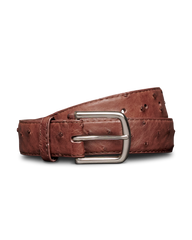men's ostrich belt