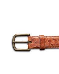 men's ostrich belt