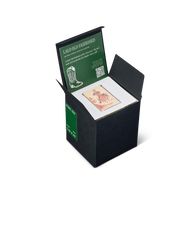 go west ranger station candle