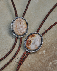 iron lamb fossilized coral bolo