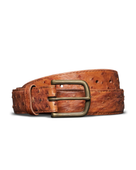 men's ostrich belt