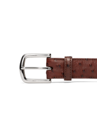 men's ostrich belt