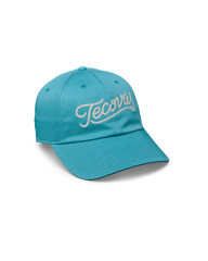 tecovas script unstructured hat