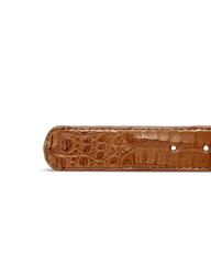 men's caiman belt