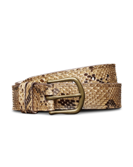 women's python belt